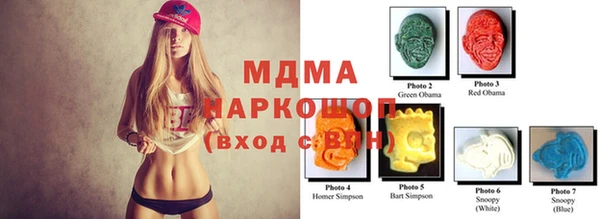 гидра Заводоуковск