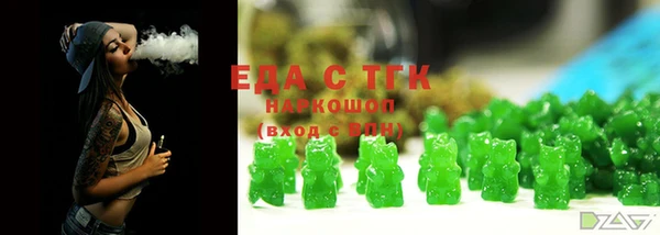 гидра Заводоуковск