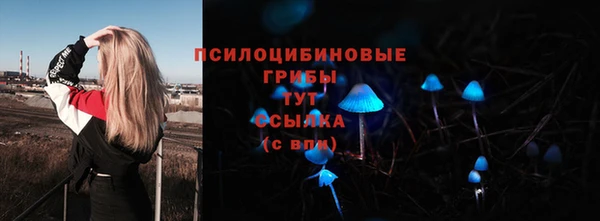 стафф Строитель