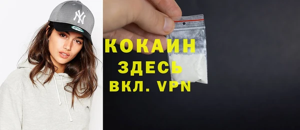 гидра Заводоуковск