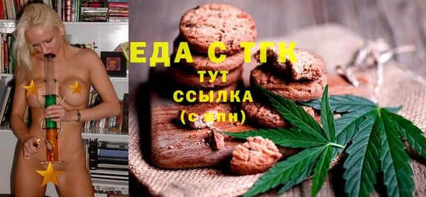 гидра Заводоуковск