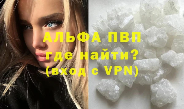гидра Заводоуковск