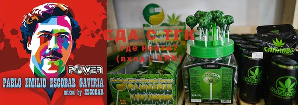 гидра Заводоуковск