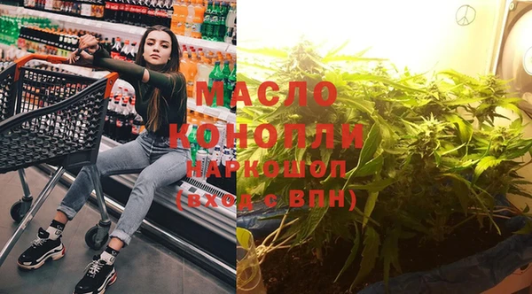 гидра Заводоуковск