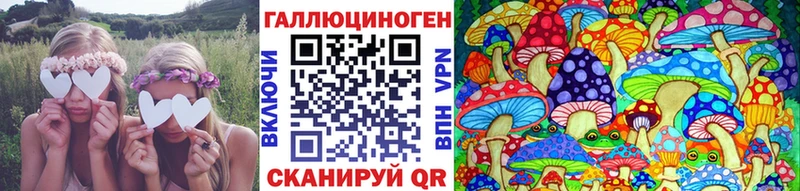 купить закладку  Сенгилей  Галлюциногенные грибы мухоморы 