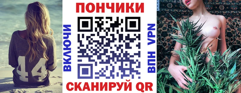 купить  цена  Сенгилей  Каннабис семена 